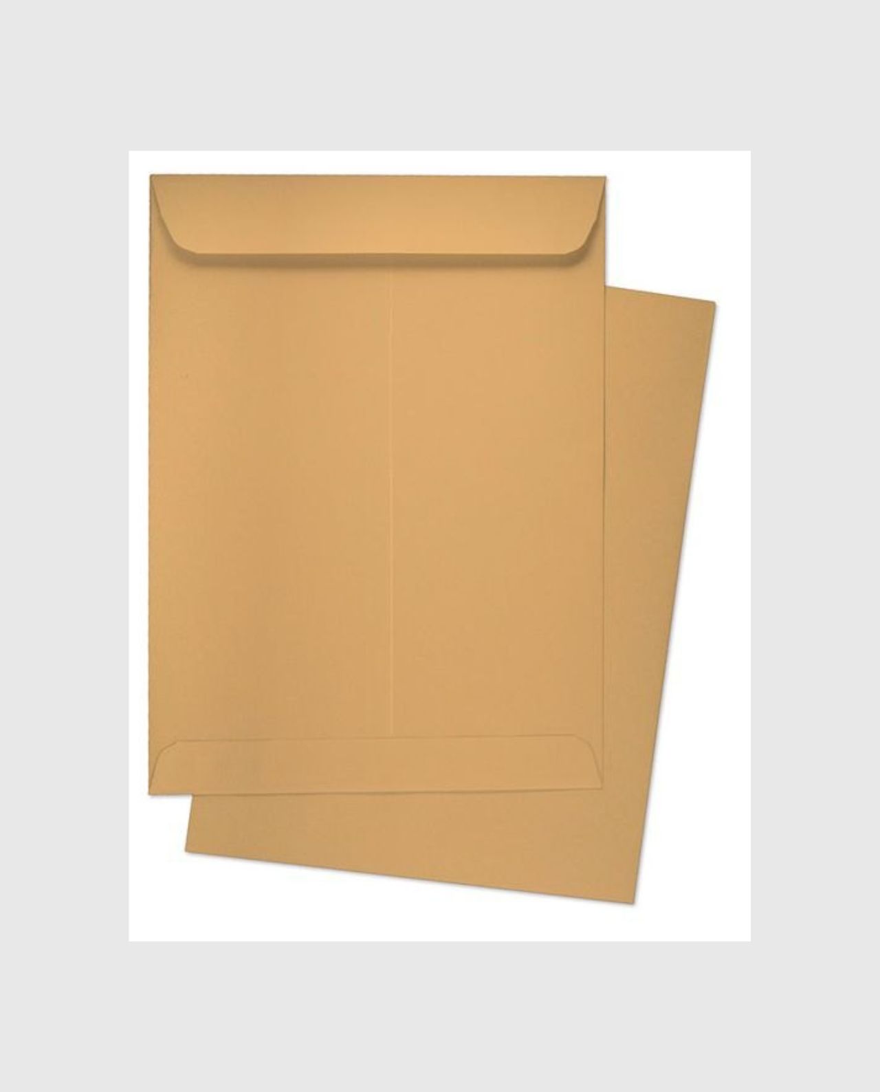 Craft Envelope Brown Filesindia
